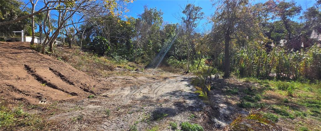 745 Waterfall Circle Deltona, FL 32725 - Photo 12 of 23 a view of a yard with plants and trees