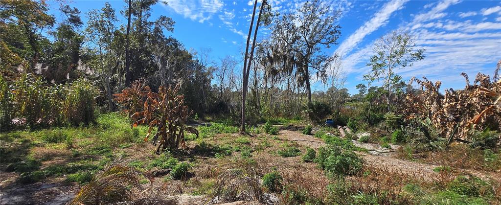 745 Waterfall Circle Deltona, FL 32725 - Photo 15 of 23 a big yard with lots of green space