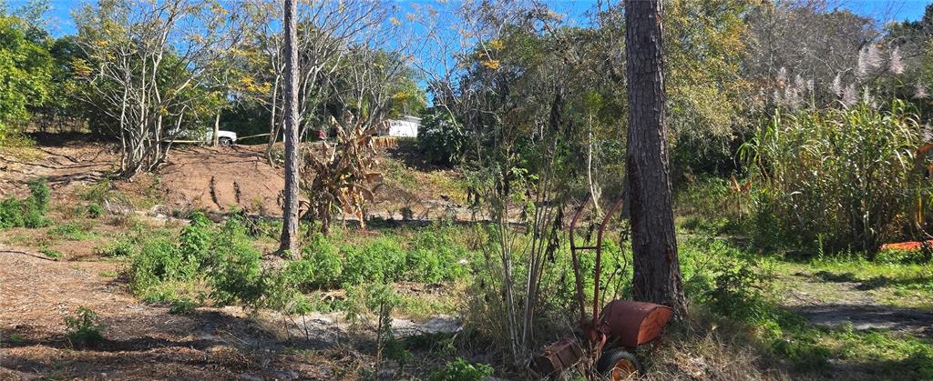745 Waterfall Circle Deltona, FL 32725 - Photo 17 of 23 a view of an outdoor space and a yard