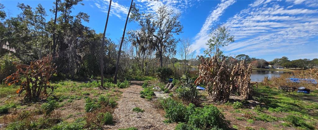 745 Waterfall Circle Deltona, FL 32725 - Photo 20 of 23 a view of lake with green space