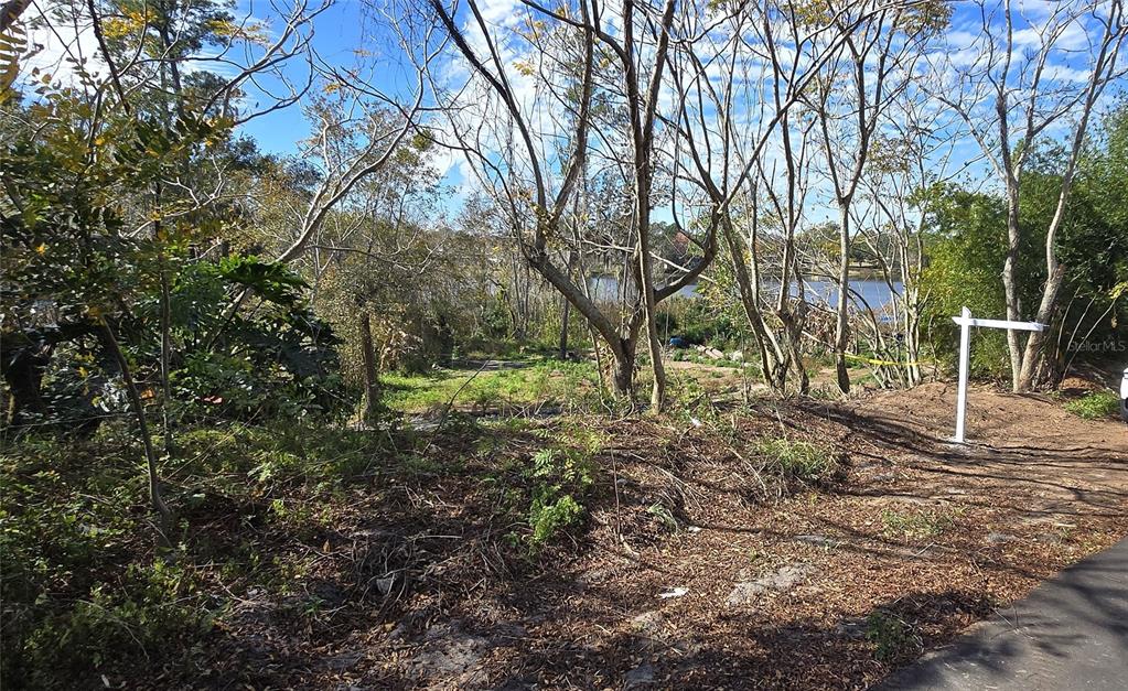 745 Waterfall Circle Deltona, FL 32725 - Photo 23 of 23 a view of backyard with green space