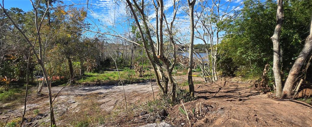 745 Waterfall Circle Deltona, FL 32725 - Photo 3 of 23 a view of backyard space