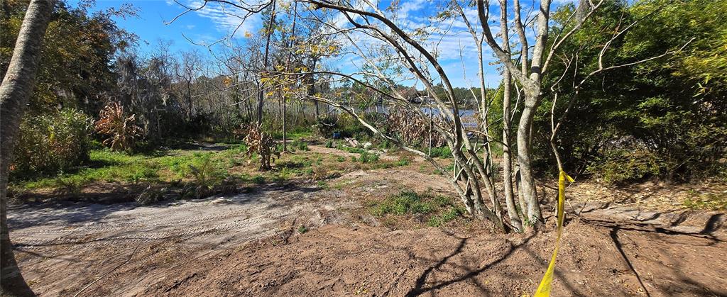 745 Waterfall Circle Deltona, FL 32725 - Photo 4 of 23 a view of a yard with plants and trees