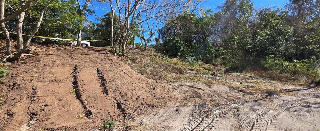 745 Waterfall Circle Deltona, FL 32725 - Photo 6 of 23 a view of a backyard with large trees