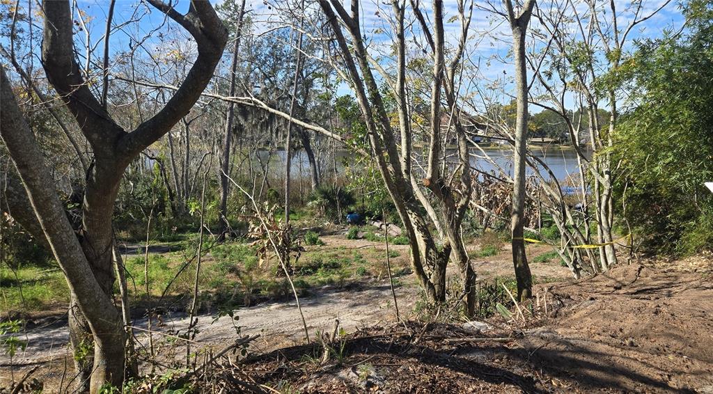 745 Waterfall Circle Deltona, FL 32725 - Photo 7 of 23 a backyard of a house with lots of green space