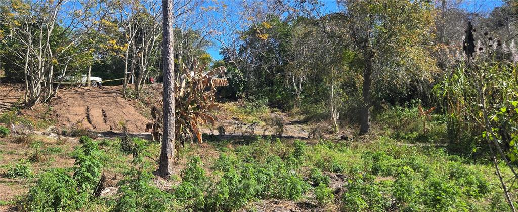 745 Waterfall Circle Deltona, FL 32725 - Photo 8 of 23 a view of a yard with large trees