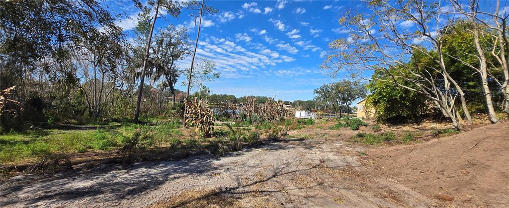 745 Waterfall Circle Deltona, FL 32725 - Photo 10 of 23 a view of a yard with plants and trees