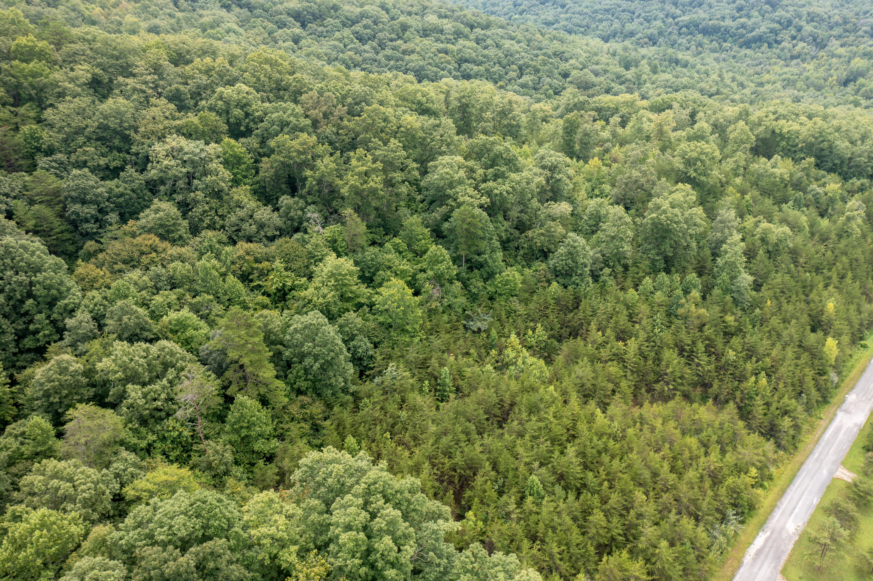 200 Indian Creek Road Middleburg, KY 42541 - Photo 13 of 30 DJI_0379-HDR