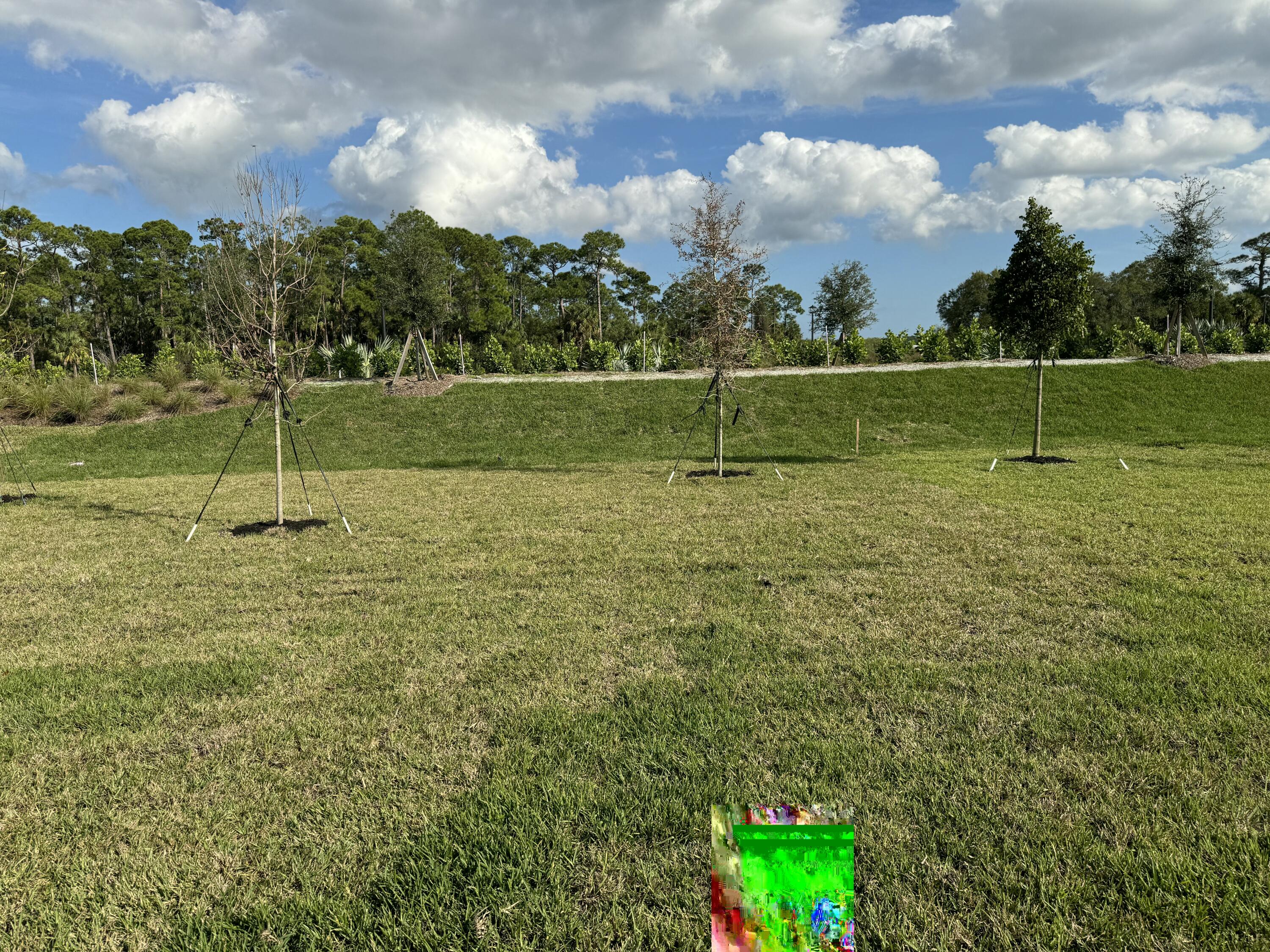 10501 Northwest Suncrest Loop Port St. Lucie, FL 34987 - Photo 11 of 33 a view of a park