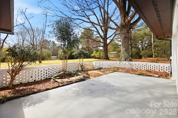 a view of a large trees next to a yard