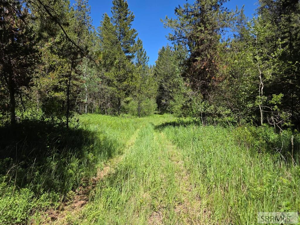 4585 East 1400 Road North Ashton, ID 83420 - Photo 23 of 31