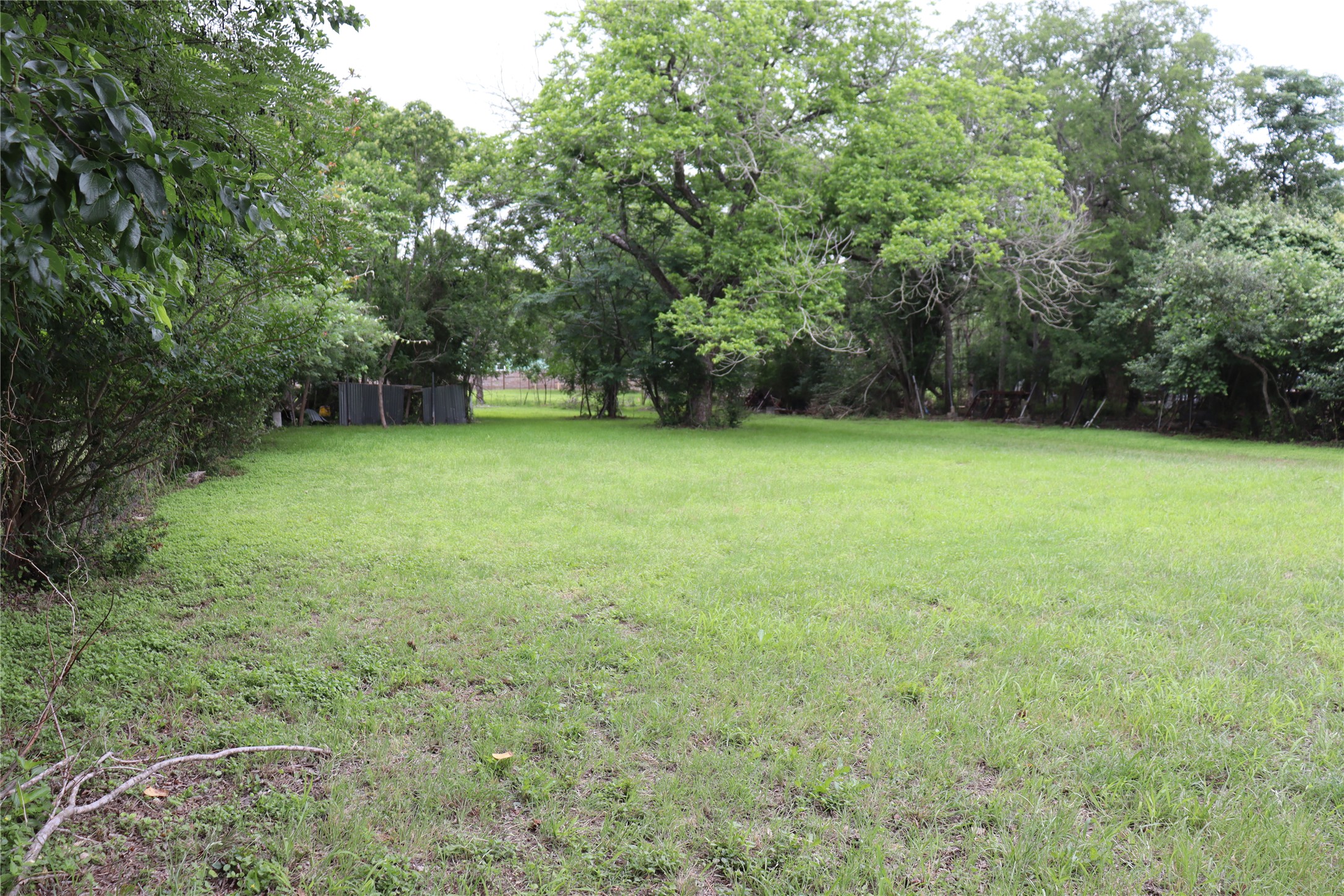 1006 Johnson Street Lockhart, TX 78644 - Photo 8 of 10 Expansive outdoor area featuring a substantial grassy lawn
