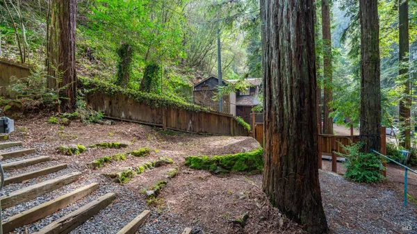 a backyard of a house with lots of green space