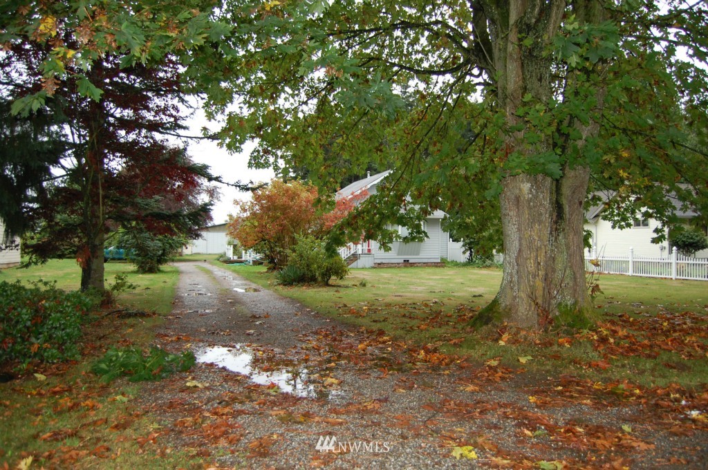 1769 Newkirk Road Ferndale, WA 98248 - Photo 2 of 8 a view of a tree in the middle of a yard