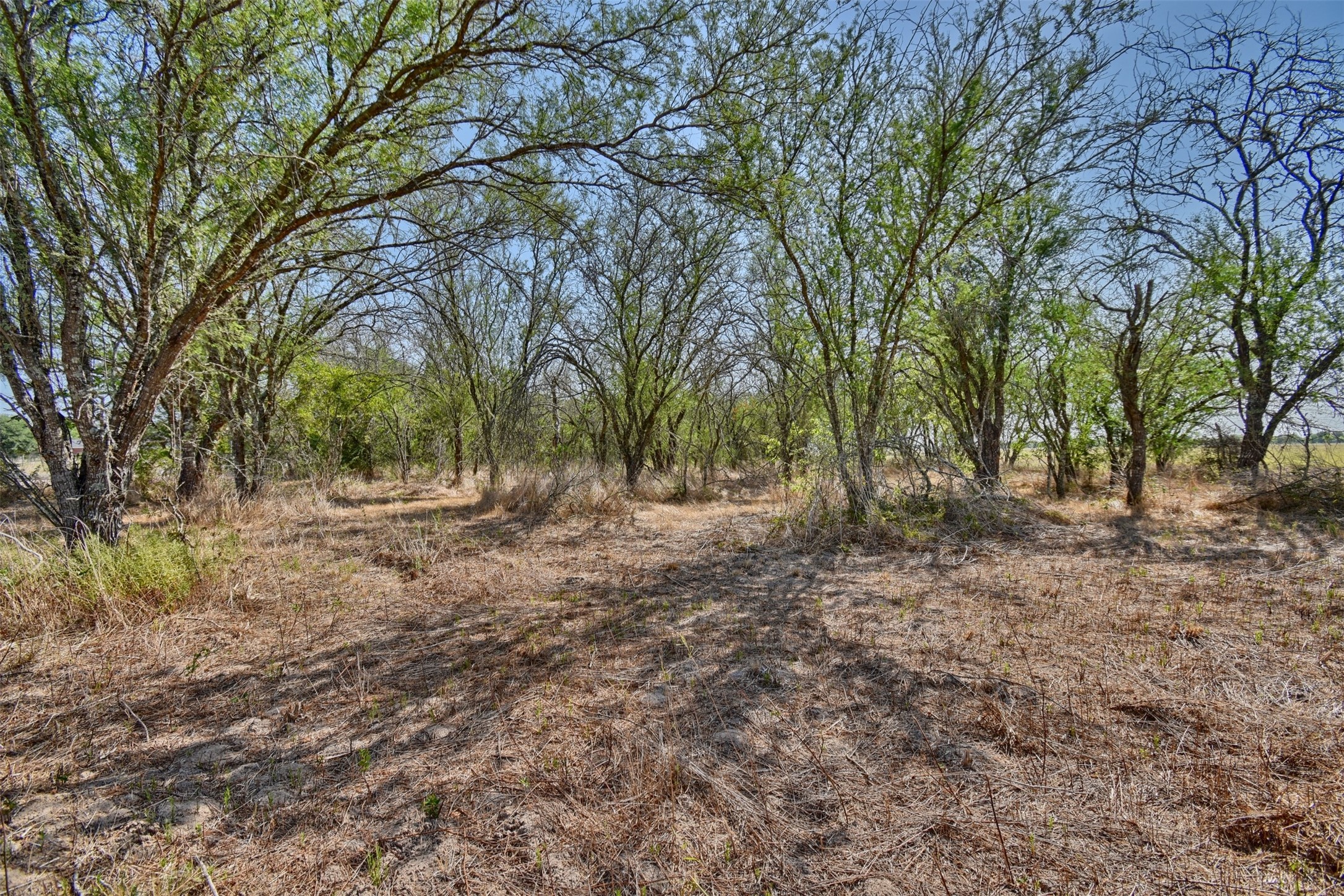 1348 Grubbs Road Sealy, TX 77474 - Photo 5 of 8