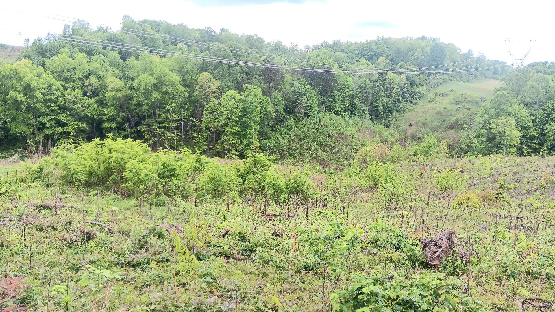 0 Hampton Hollow Road, Unit 7 ACRE TRACT) Langsville, OH 45741 - Photo 30 of 55
