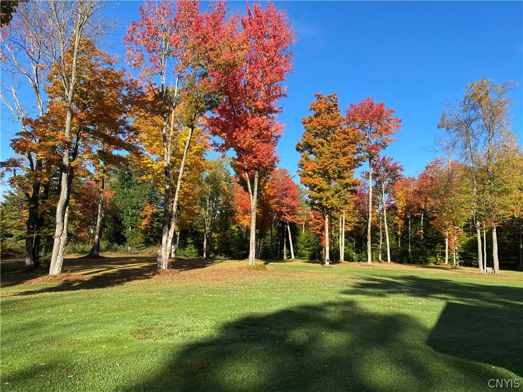 5117 Pleasant Valley Road North Greig, NY 13312 - Photo 45 of 49 Fall in love with this backyard view.