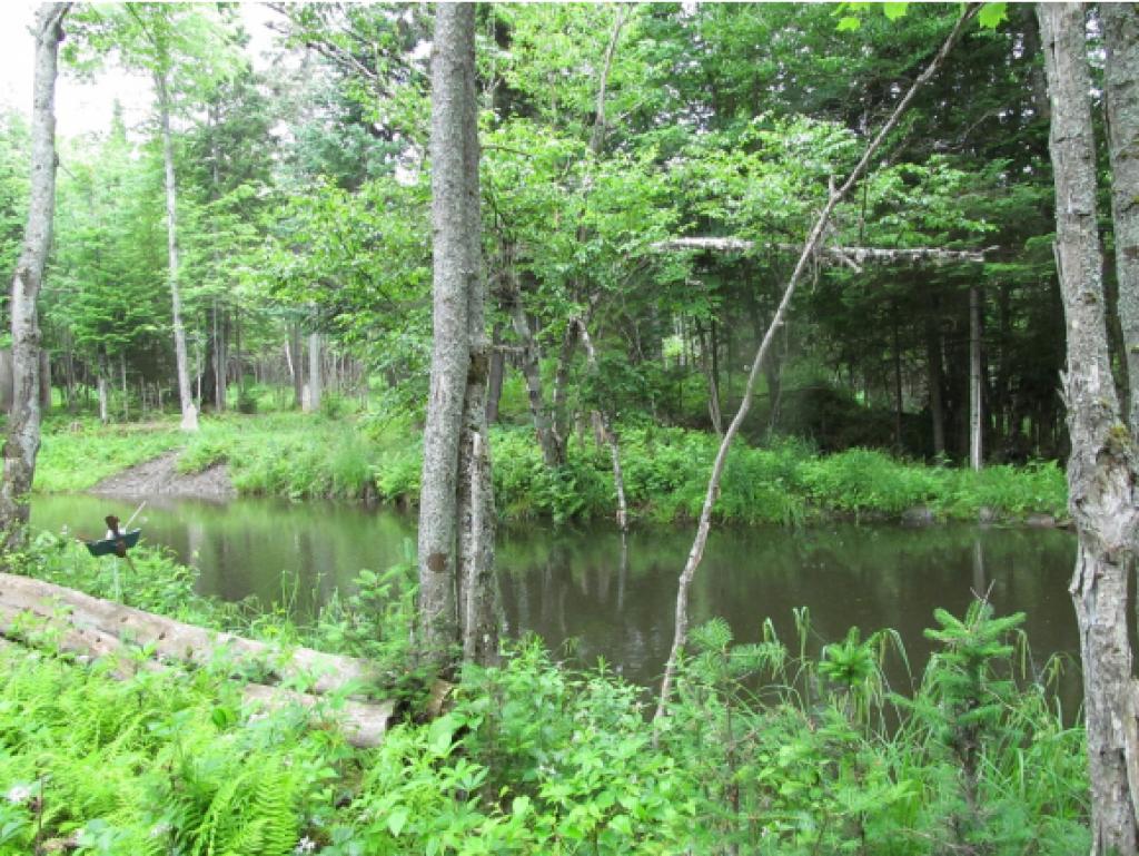 - Dead Water Road Stewartstown, NH 03576 - Photo 2 of 22 Gallery Image 2