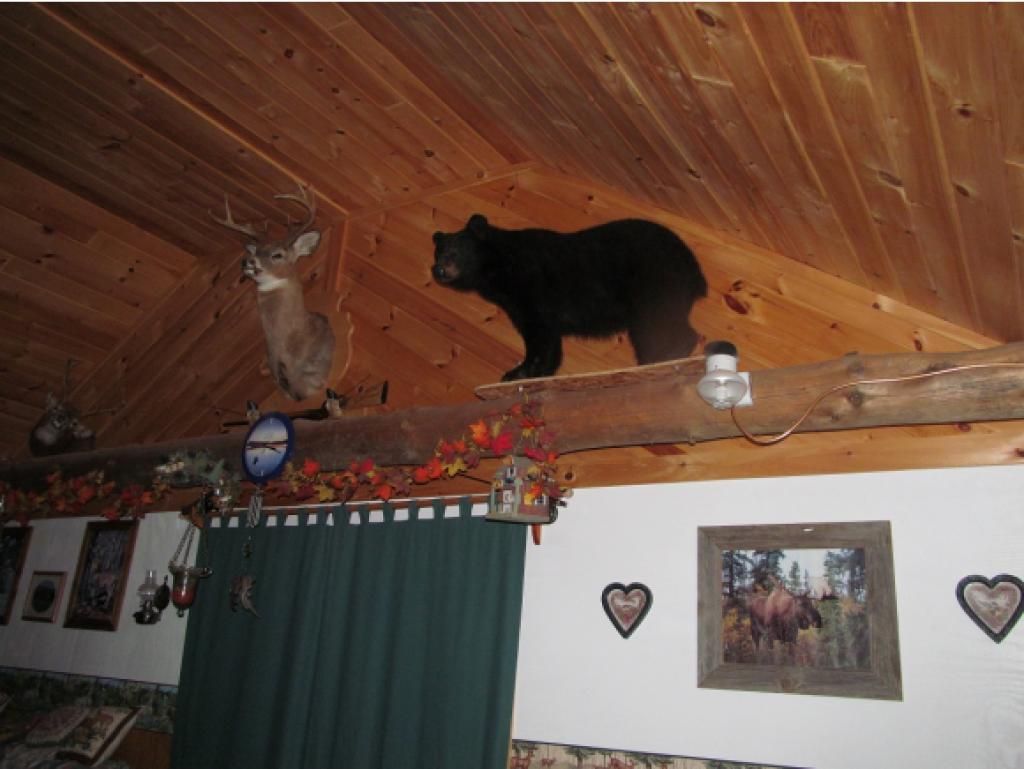 - Dead Water Road Stewartstown, NH 03576 - Photo 14 of 22 Gallery Image 14