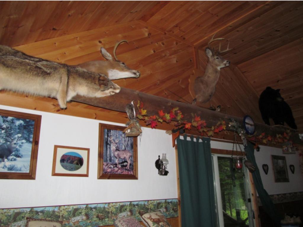 - Dead Water Road Stewartstown, NH 03576 - Photo 15 of 22 Gallery Image 15