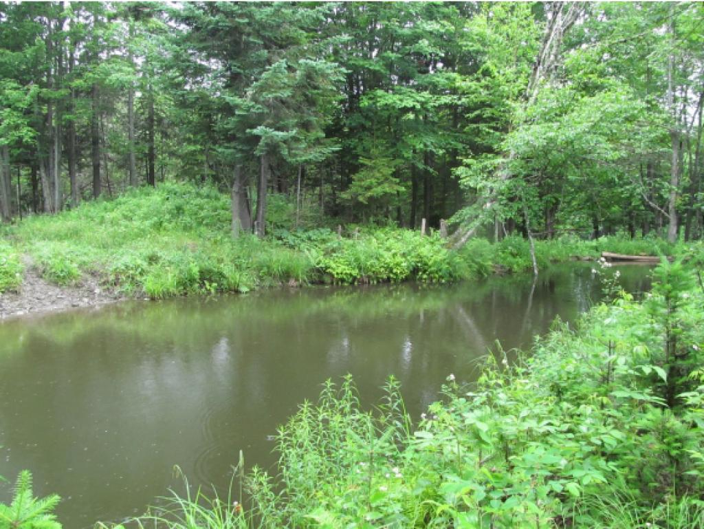 - Dead Water Road Stewartstown, NH 03576 - Photo 5 of 22 Gallery Image 5