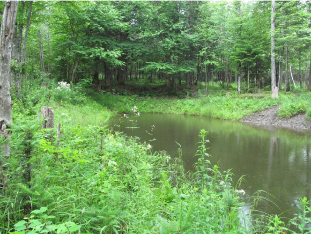 - Dead Water Road Stewartstown, NH 03576 - Photo 9 of 22 Gallery Image 9
