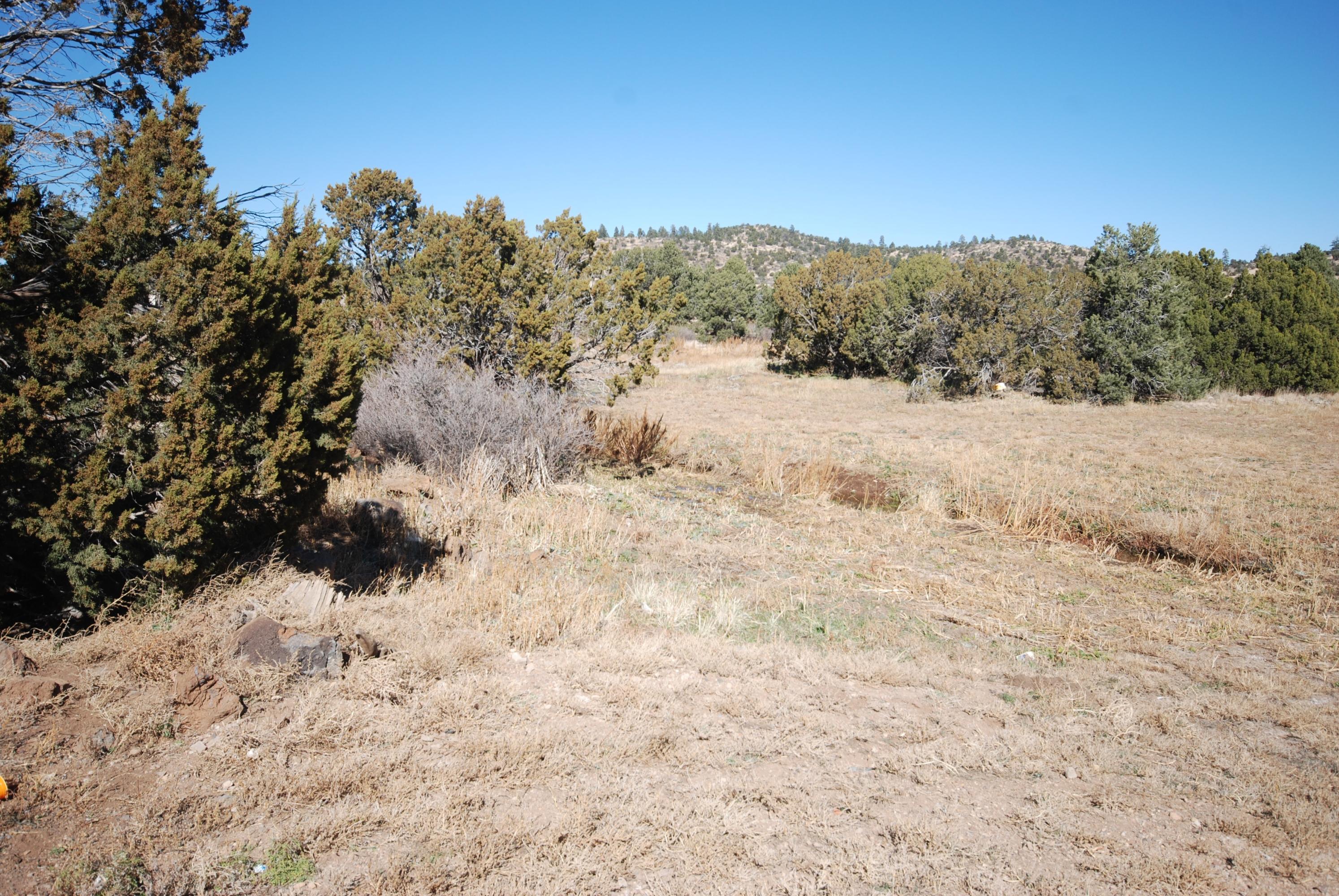 8229 Pecos Road Flagstaff, AZ 86004 - Photo 17 of 59 pecos 179