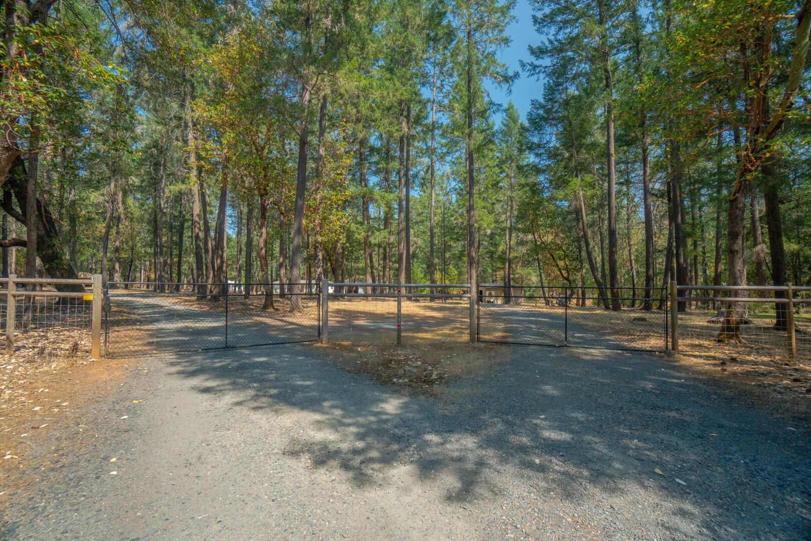 1111 Powell Creek Road Williams, OR 97544 - Photo 68 of 85 DSC01023