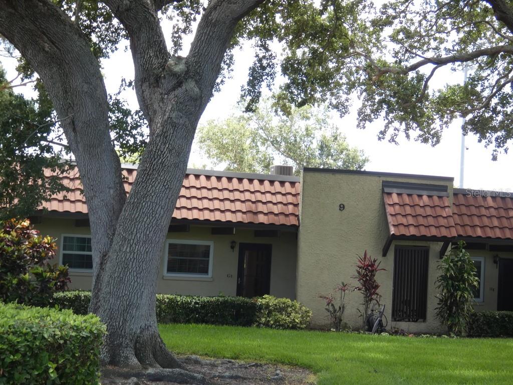 a view of a house with a tree in front of it
