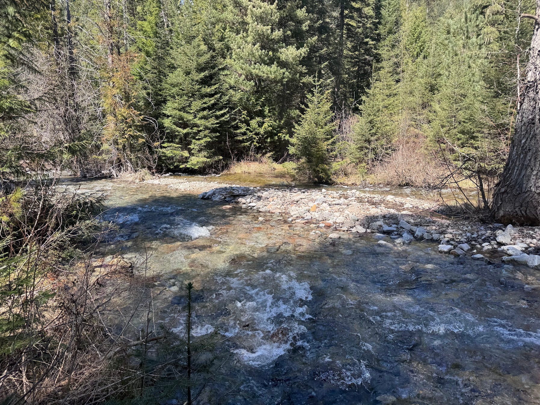 189 Blue Creek Road Heron, MT 59844 - Photo 66 of 83 Gallery Image 66