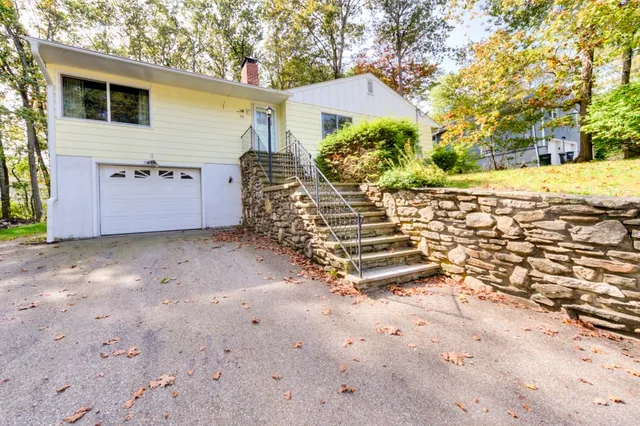 a view of a yard with plants and large trees