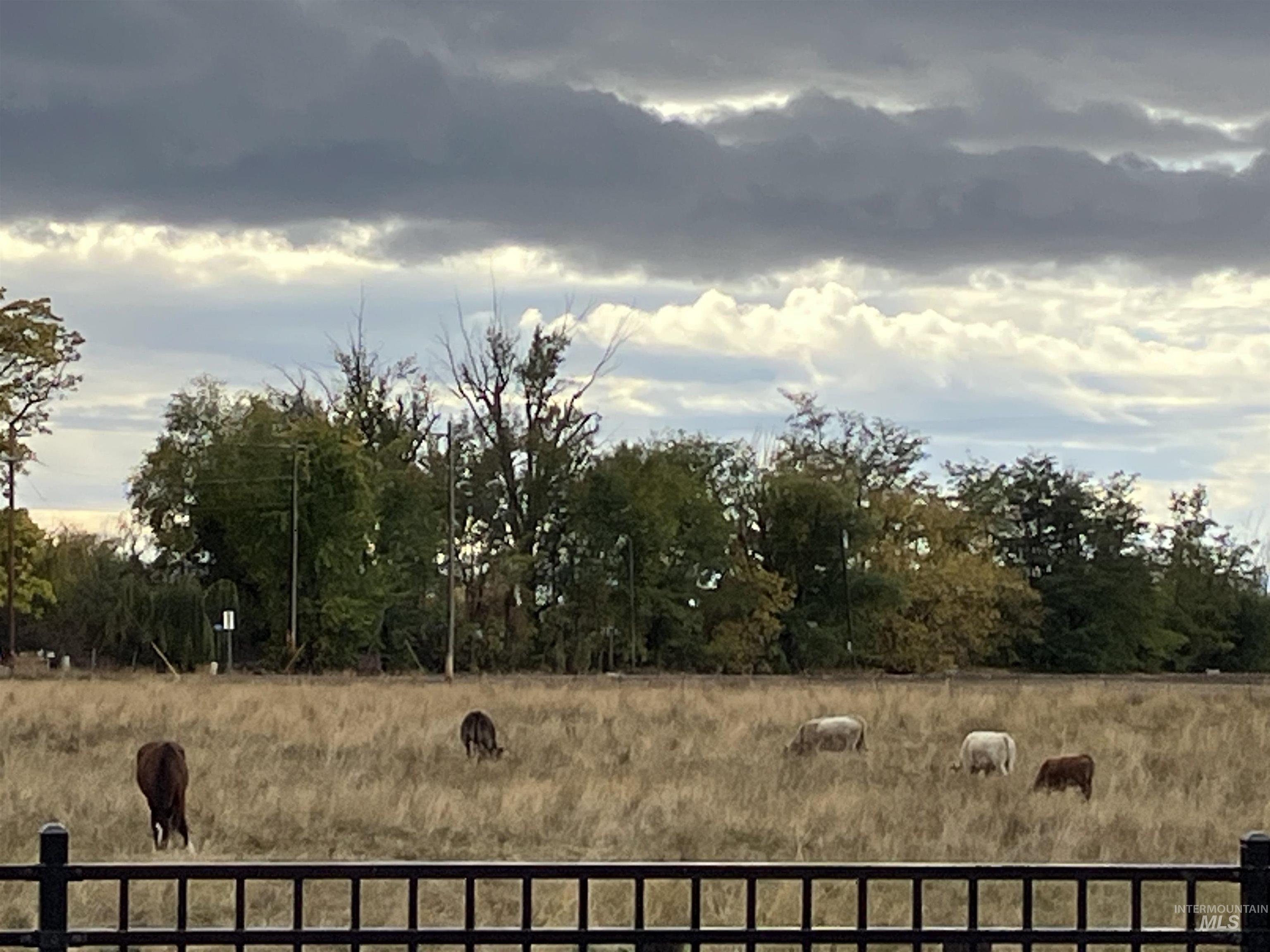 12557 West Wayfaring Drive Star, ID 83669 - Photo 20 of 25 View of yard featuring a rural view