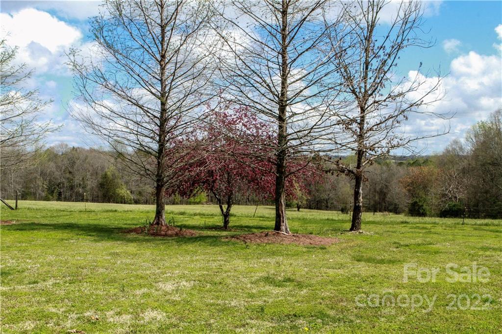 717 Trinity Church Road Mooresboro, NC 28114 - Photo 18 of 47 Gallery Image 18