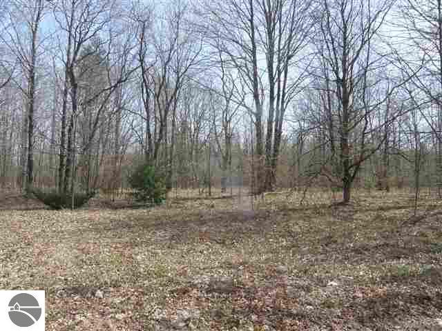 Lot 10 Roberts Road, Unit LOT: 10 Beulah, MI 49617 - Photo 11 of 20 Gallery Image 11