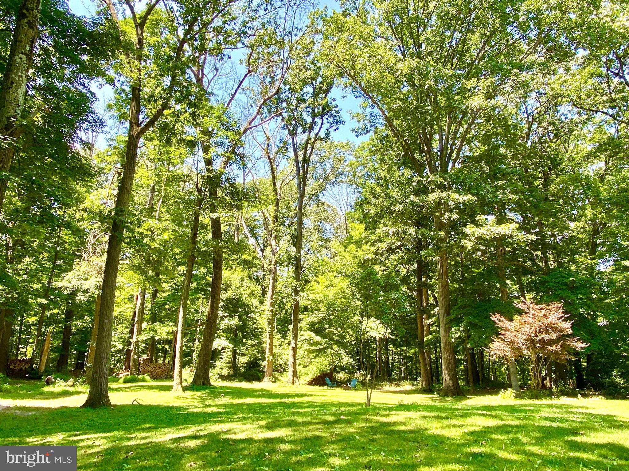 5690 Worthington Road Doylestown, PA 18902 - Photo 54 of 67