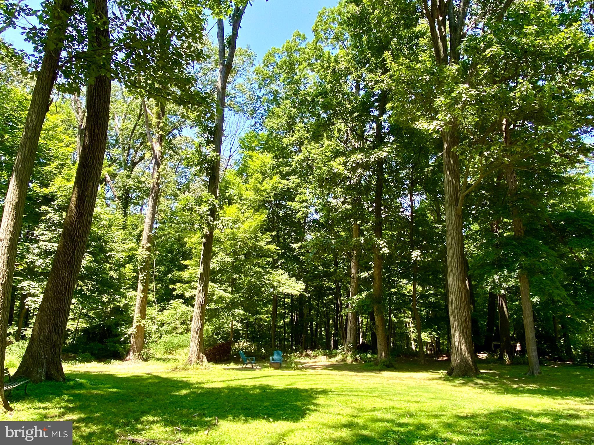 5690 Worthington Road Doylestown, PA 18902 - Photo 55 of 67
