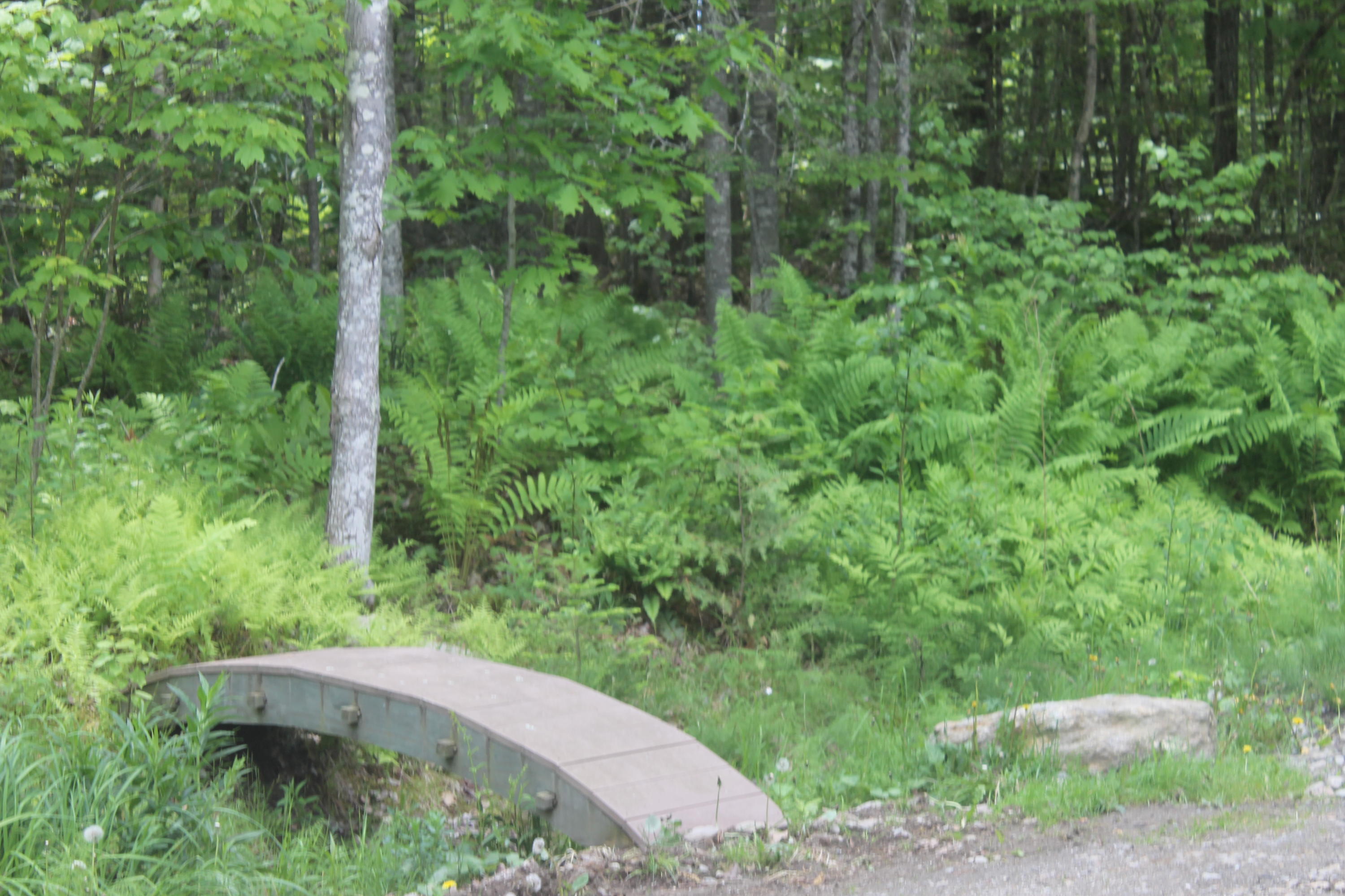 1161 Millvale Road Bucksport, ME 04416 - Photo 29 of 35 IMG_9478