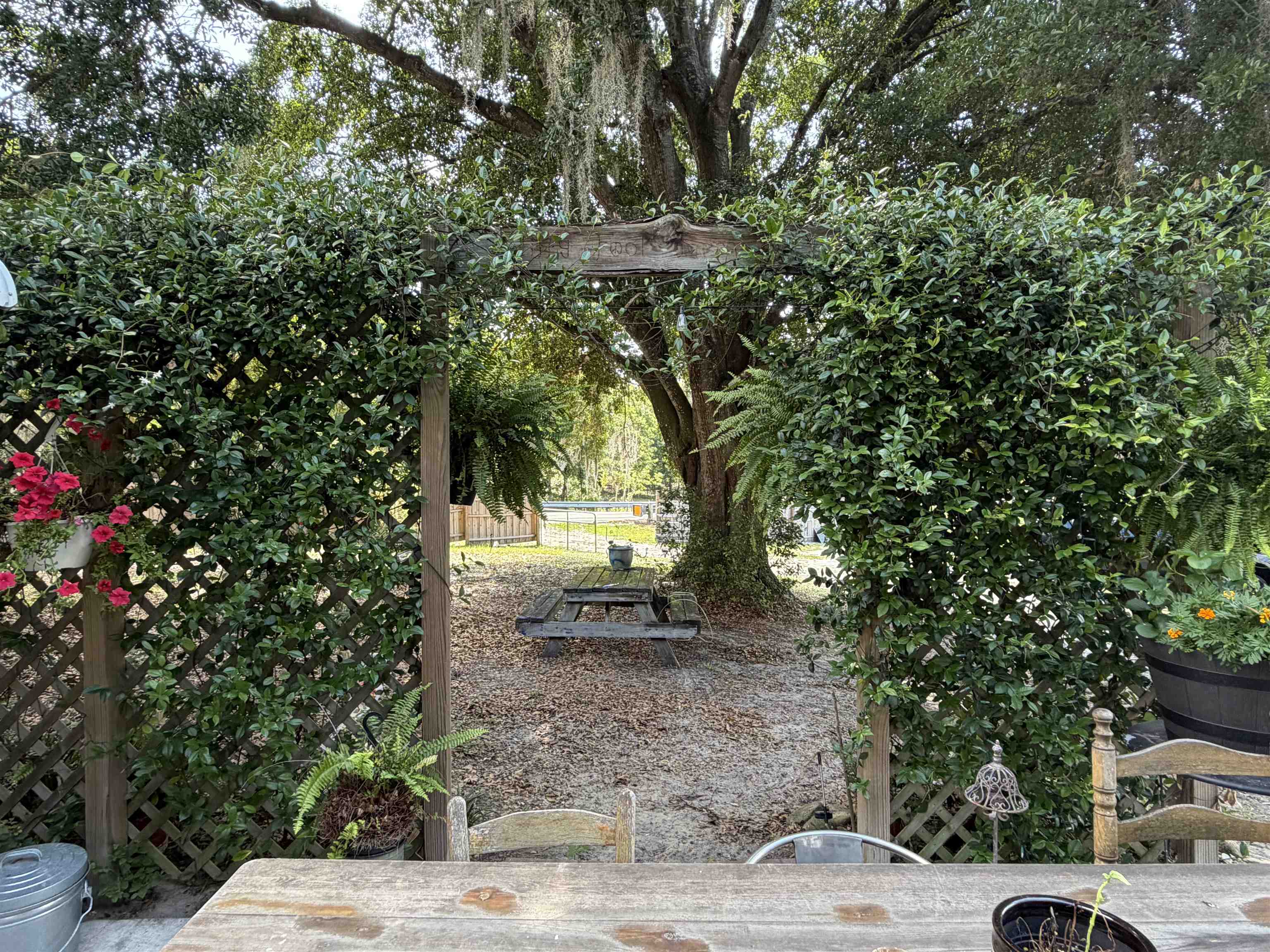 323 Sisco Road Pomona Park, FL 32181 - Photo 14 of 31 a backyard of a house with lots of green space