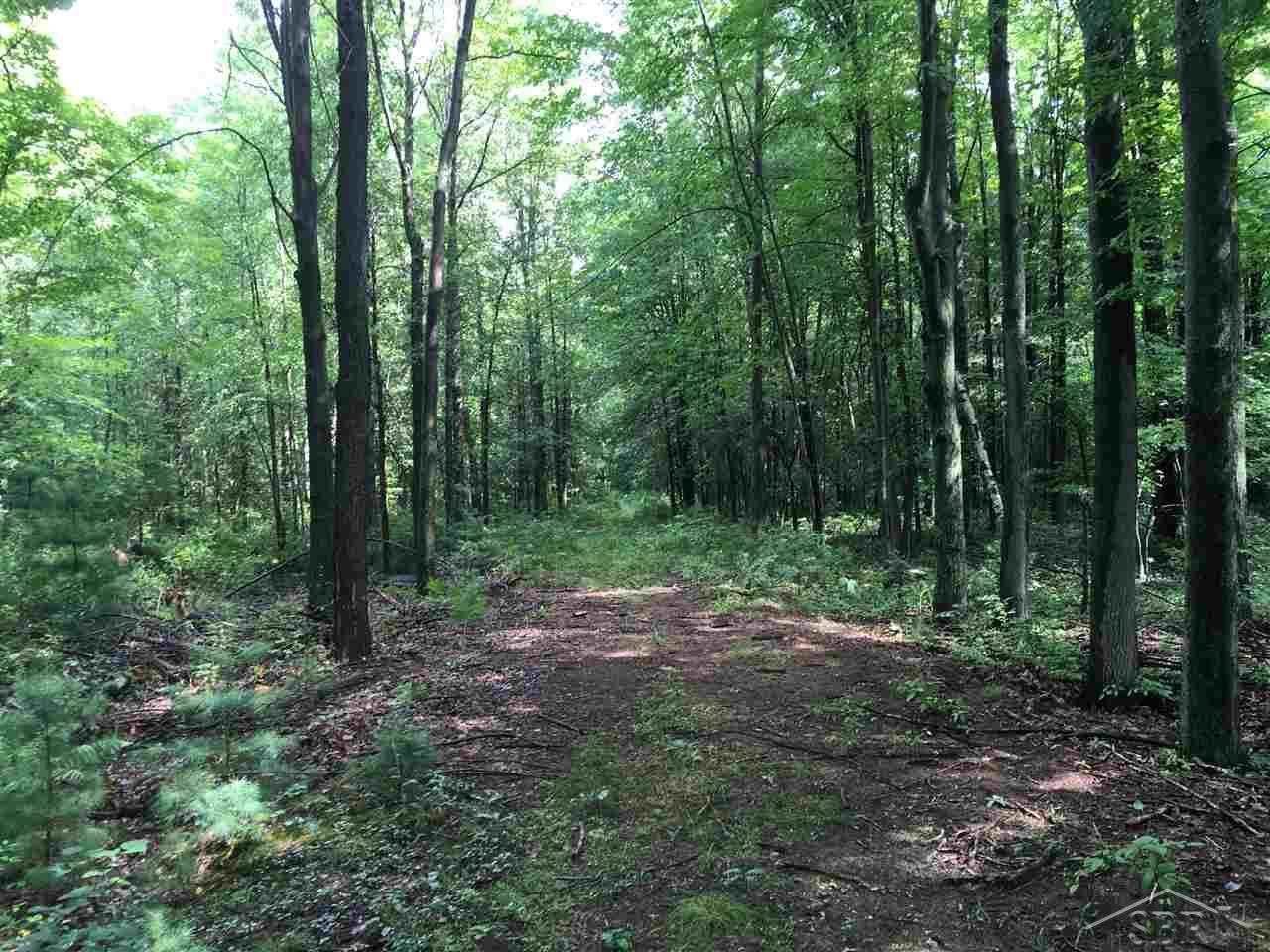 V/l Baumgartner Road St. Charles, MI 48655 - Photo 3 of 3