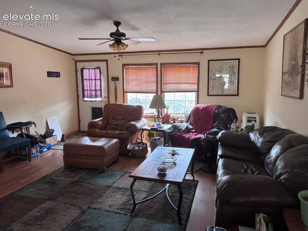 4758 Copper Gulch Road Cotopaxi, CO 81223 - Photo 4 of 19