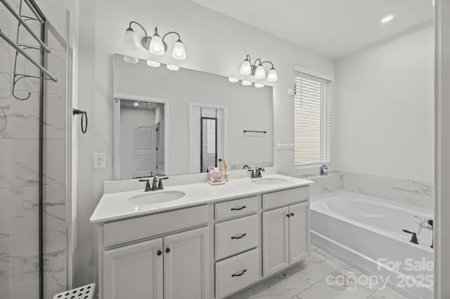 a bathroom with a double vanity sink a large mirror a bathtub and