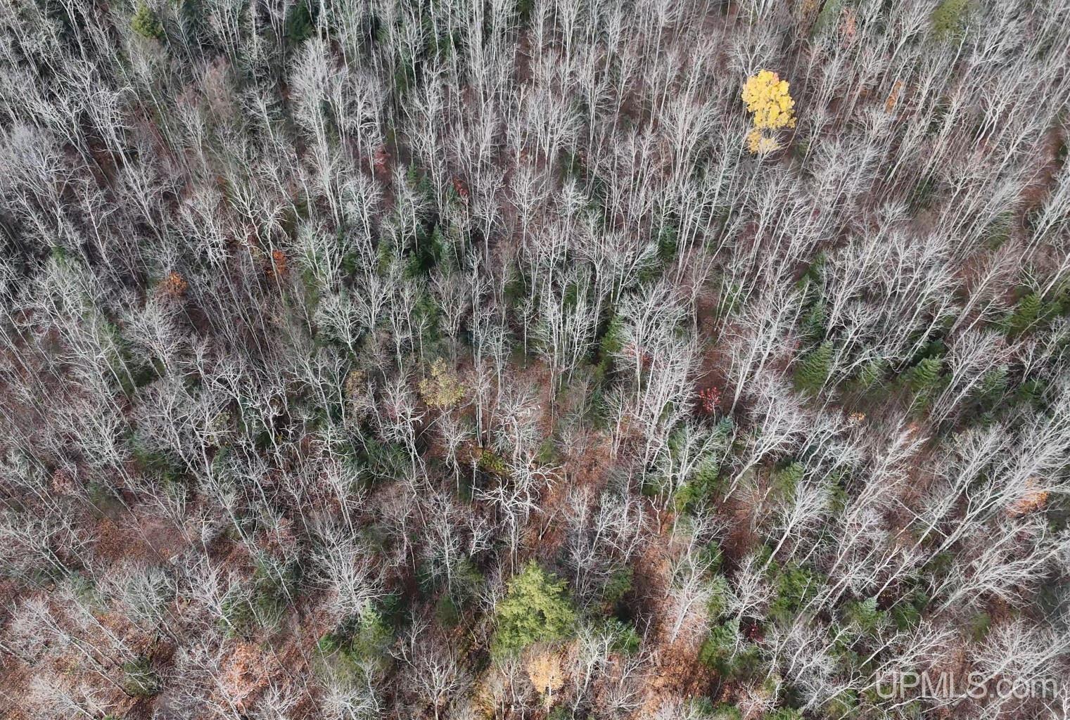 Tbd102 Firesteel Road Ontonagon, MI 49953 - Photo 5 of 18