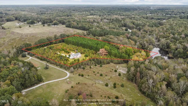 a view of a tree next to a yard