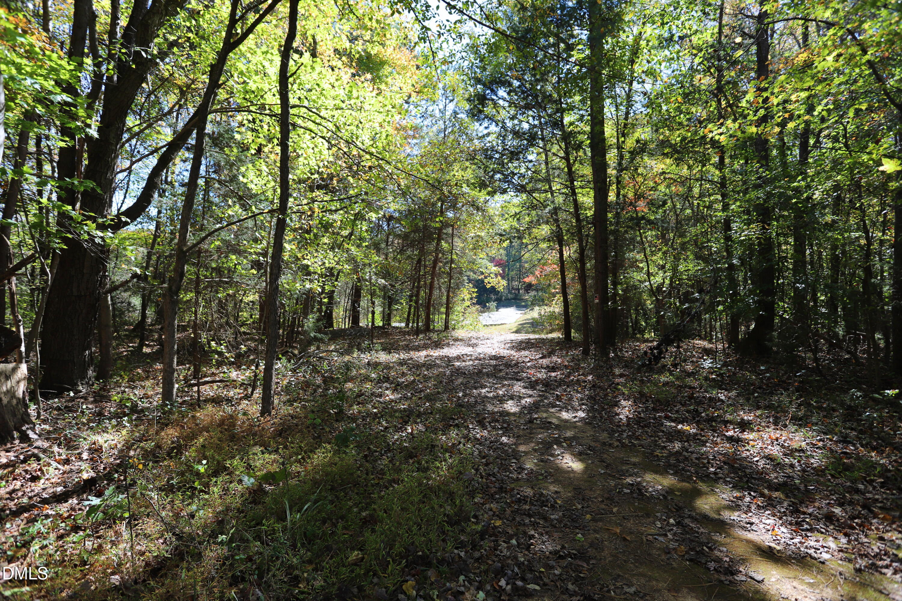 6764 Bradshaw Farm Road Efland, NC 27243 - Photo 53 of 56 IMG_8009