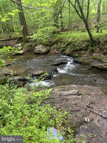 a view of a tree with a yard