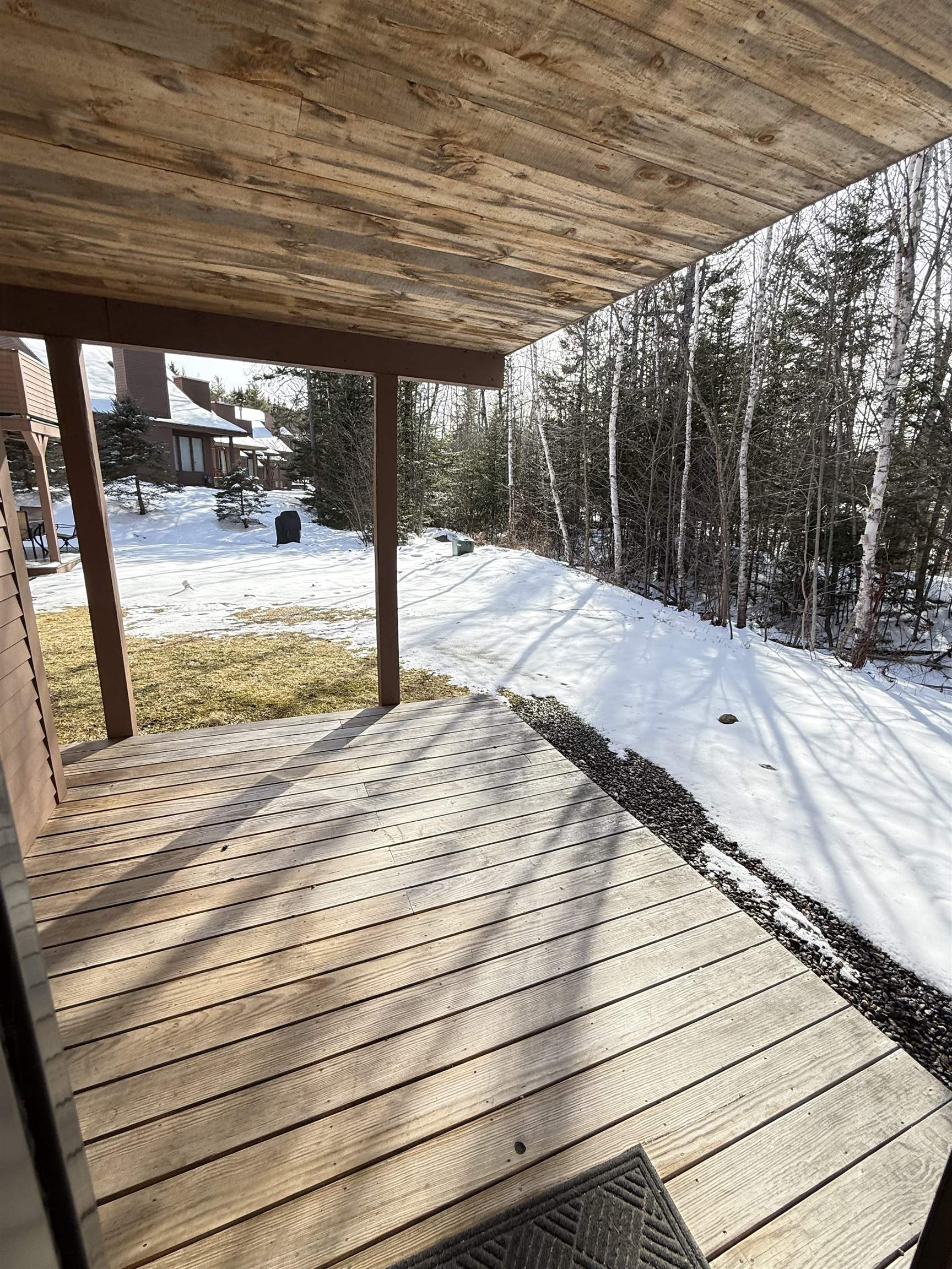 19 Bobcat Way, Unit L2 Waterville Valley, NH 03215 - Photo 49 of 52