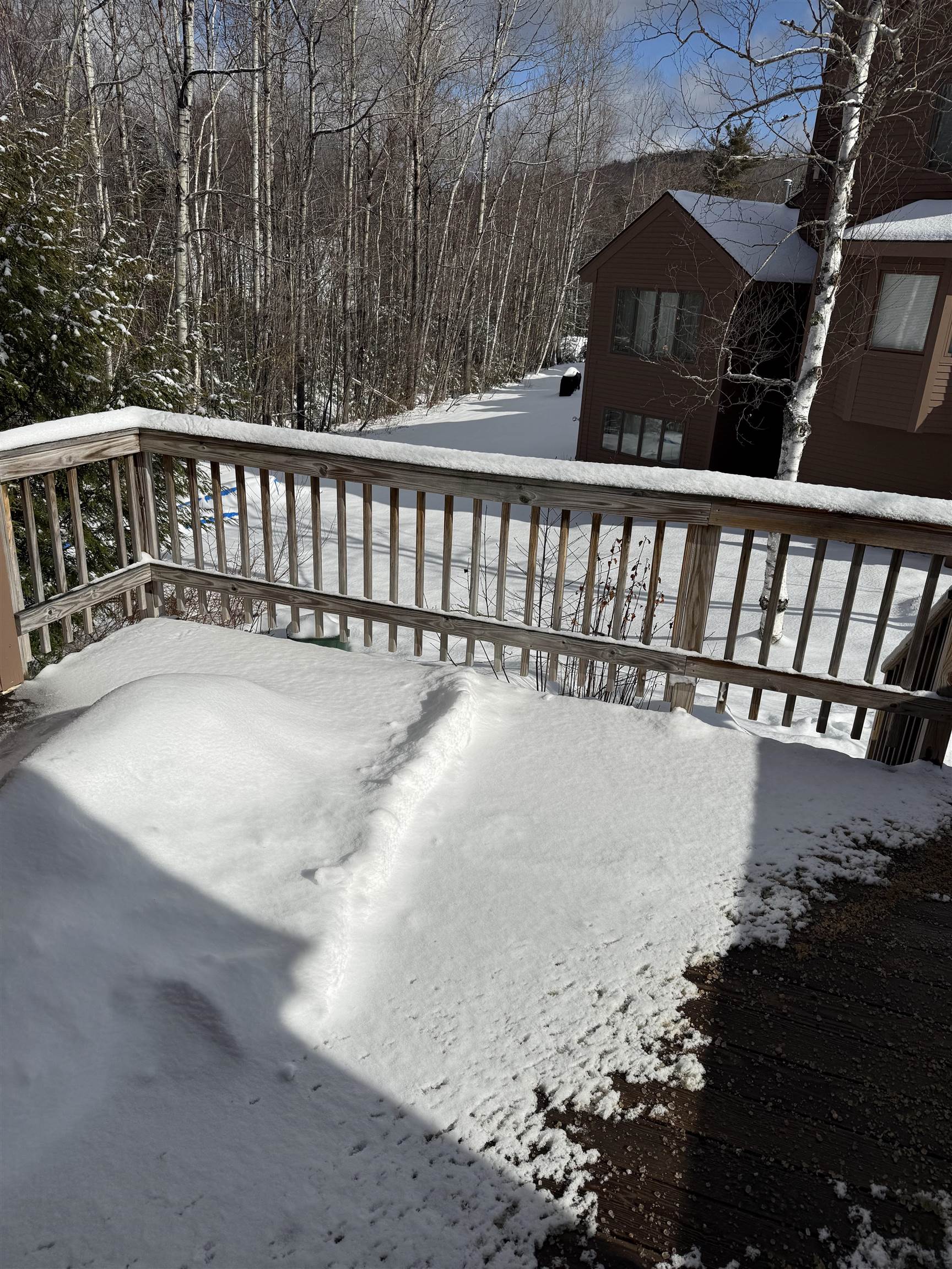 19 Bobcat Way, Unit L2 Waterville Valley, NH 03215 - Photo 51 of 52