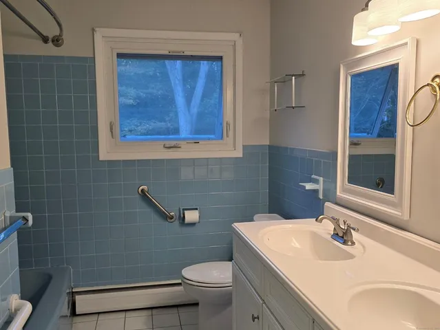 a bathroom with a sink a toilet and a mirror