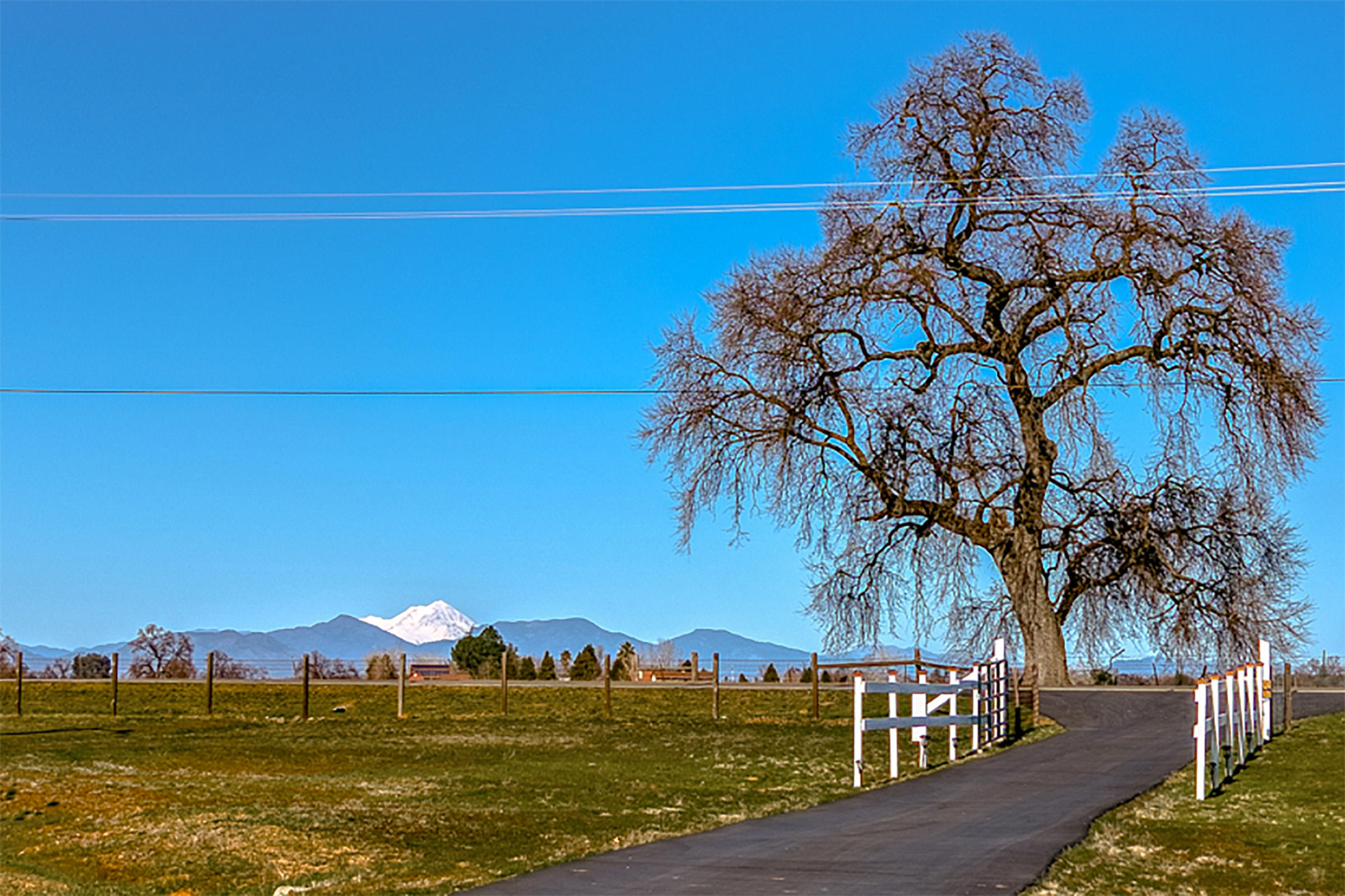 21615 Dersch Road Anderson, CA 96007 - Photo 39 of 40 Mt. Shasta view