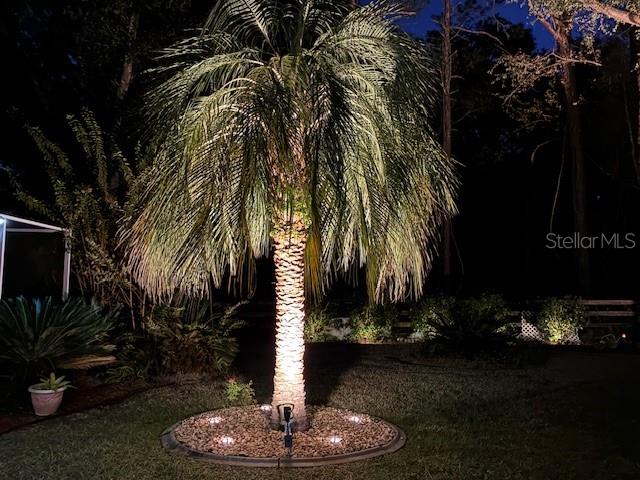 11636 Southwest 75th Circle Ocala, FL 34476 - Photo 26 of 38 a swimming pool with lots of palm trees